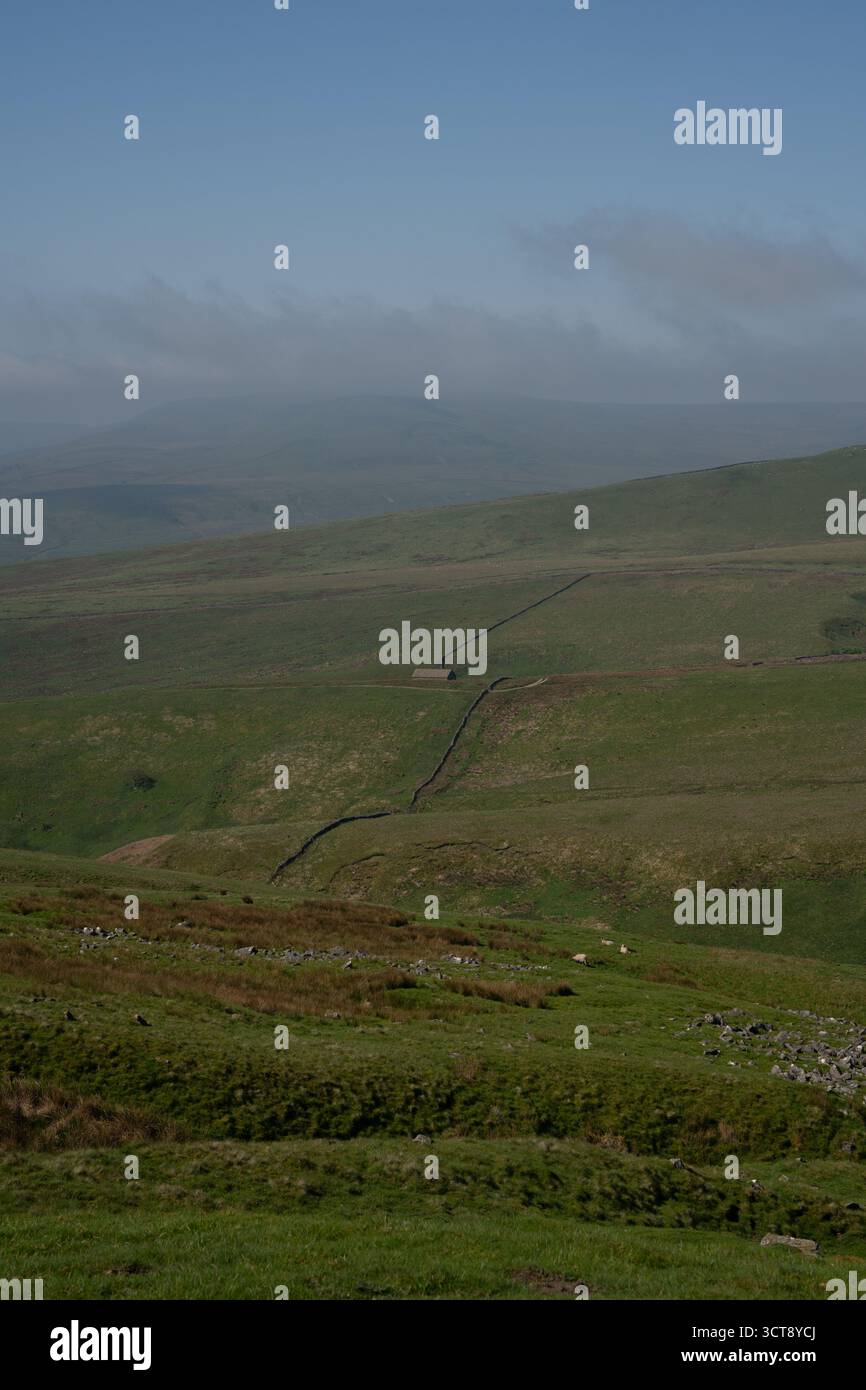 Paysage Misty Yorkshire Dales avec des murs en pierre sèche et des collines verdoyantes Banque D'Images