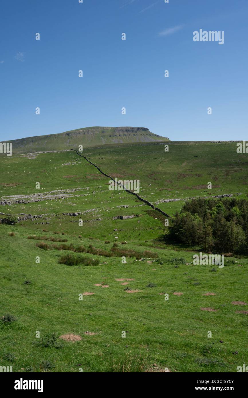 Paysage calcaire des Yorkshire Dales avec murs en pierre sèche et pâturages verts Banque D'Images