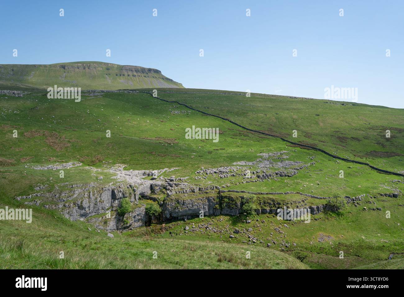 Yorkshire Dales pavement calcaire et murs en pierre sèche dans la campagne verdoyante Banque D'Images