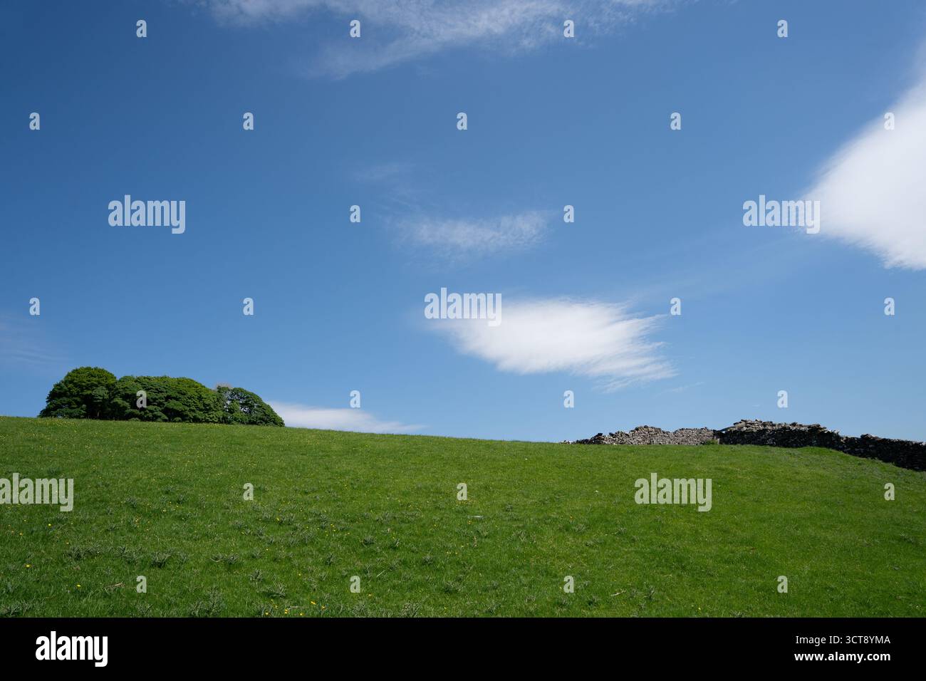 Terrain vert vallonné avec mur de pierre sèche et arbres sous le ciel bleu avec des nuages blancs tortueux Banque D'Images