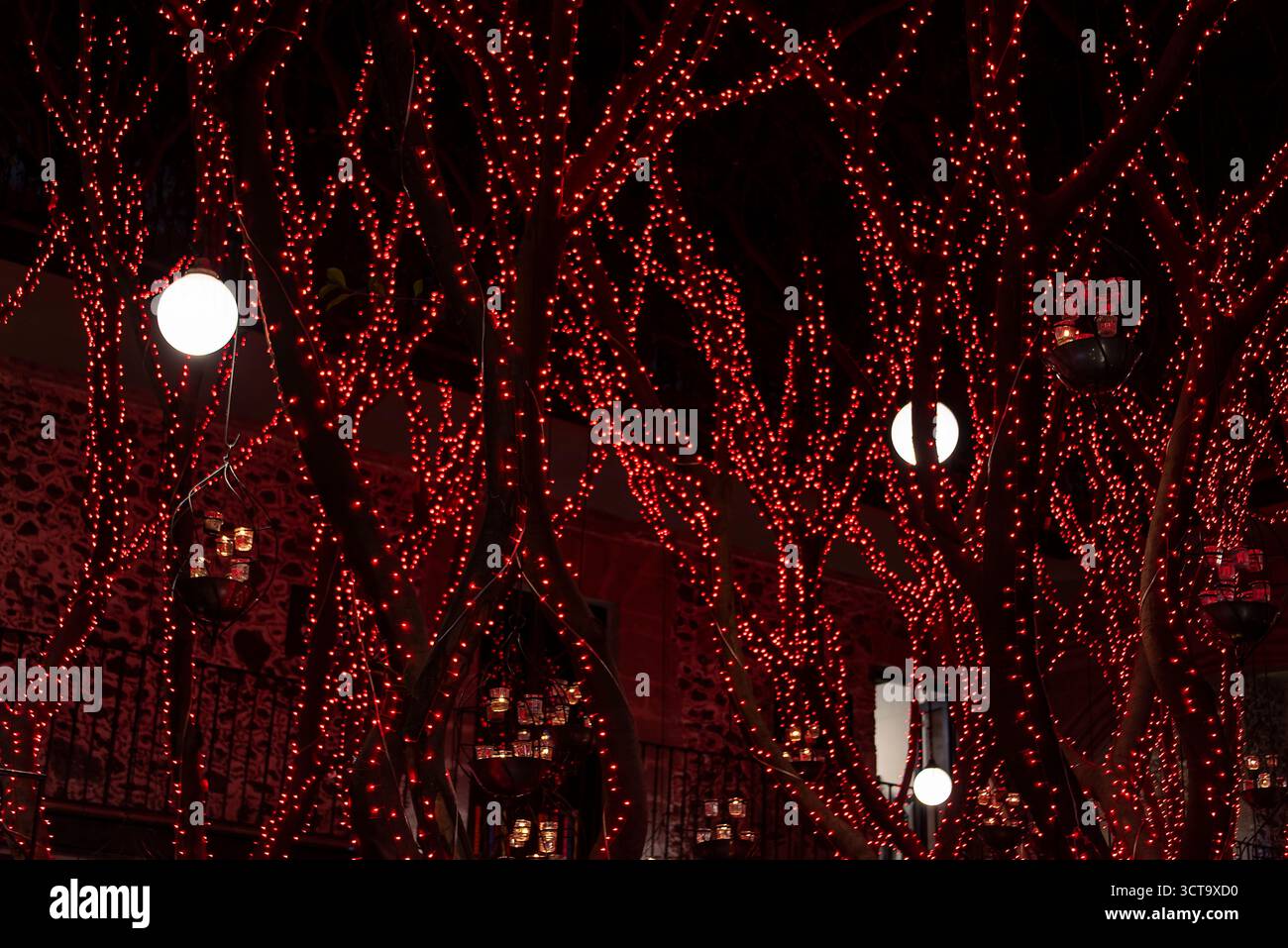 Lumières rouges ornementales sur les branches d'arbres. Mexico, Mexique. Banque D'Images