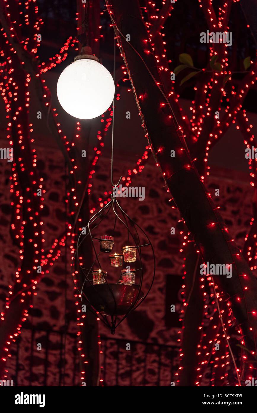Lumières rouges ornementales sur les branches d'arbres. Mexico, Mexique. Banque D'Images
