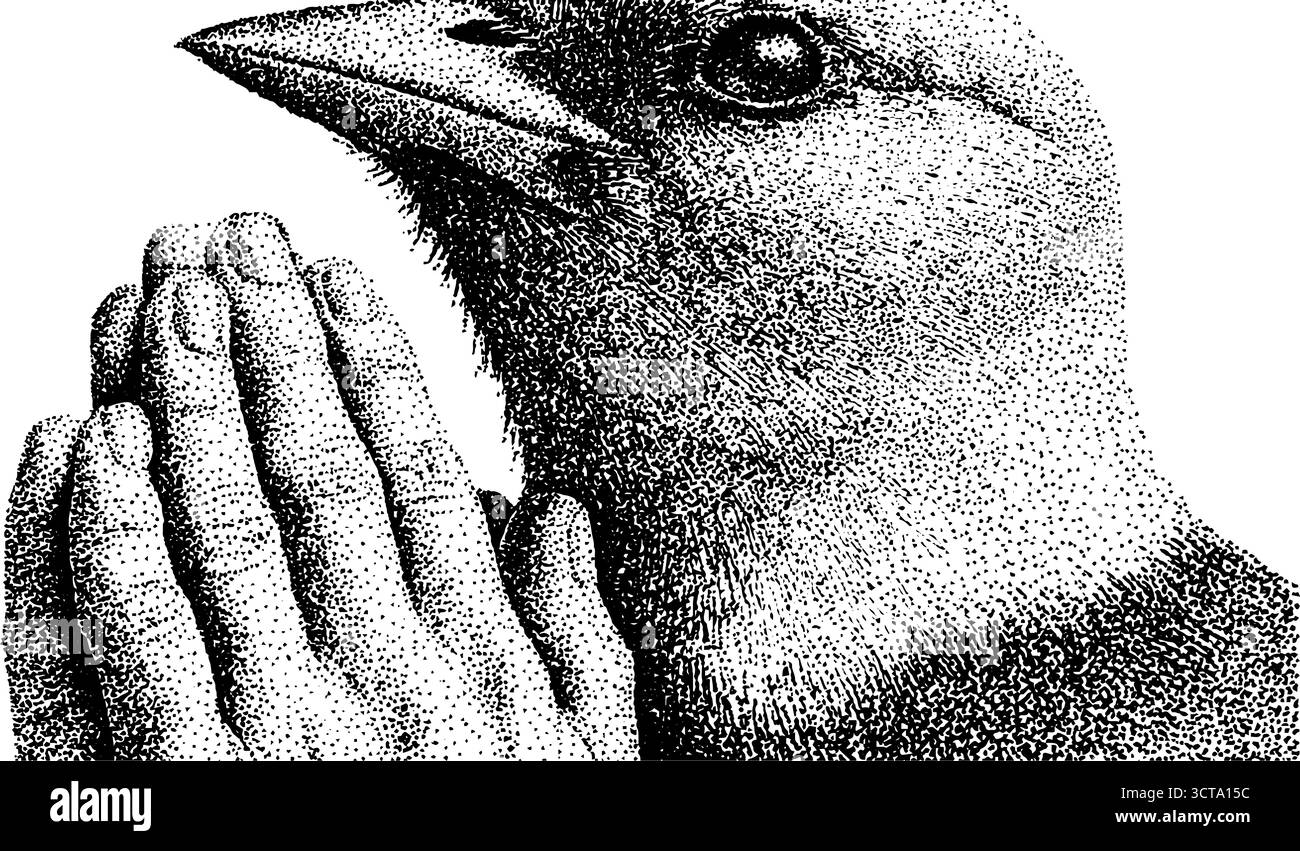 Oiseau surréaliste avec des mains humaines dans l'art stipple détaillé pour des concepts uniques. Illustration de Vecteur