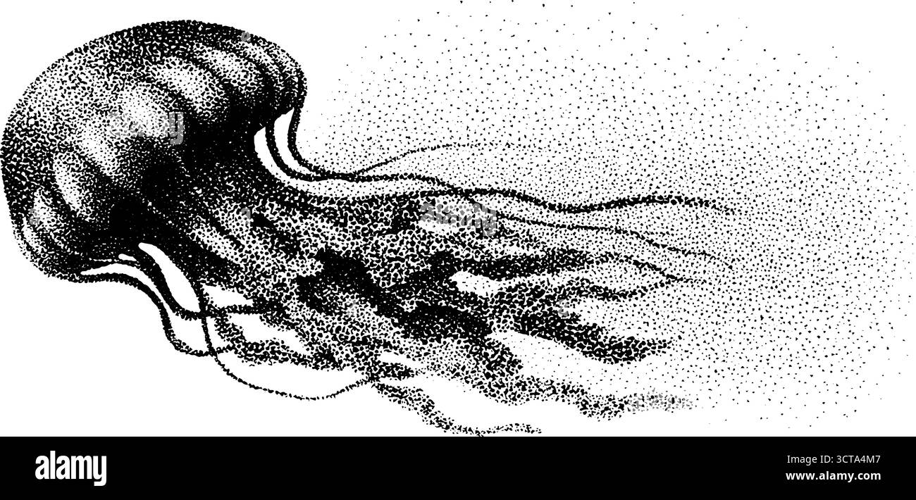 Illustration pointillée complexe d'une méduse flottant gracieusement. Illustration de Vecteur