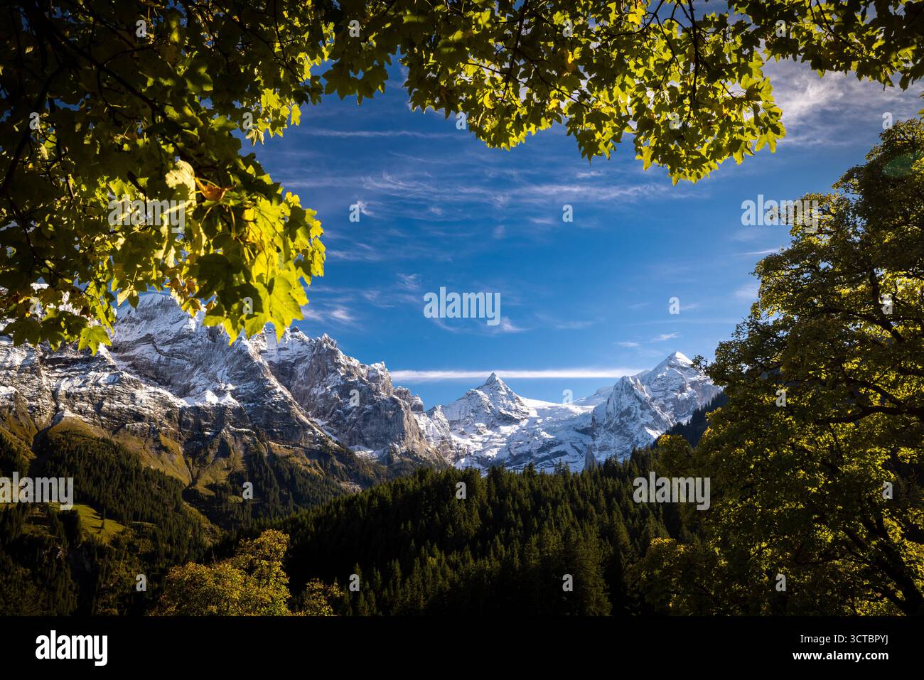 Glacier de Rosenlauigletscher et sommets de Tossen et Wetterhorn en automne avec de la neige fraîche dans la vallée de Reichenbach dans l'Oberland bernois Banque D'Images