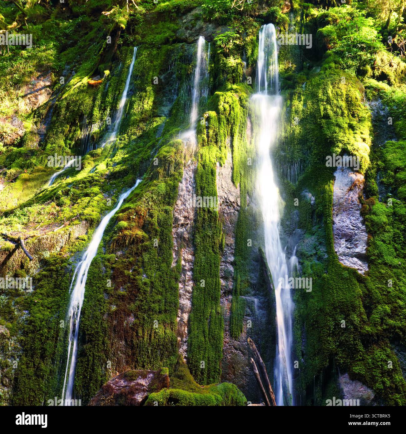 Cascades de mousse verte à Wimbachklamm - Ramsau BEI Berchtesgaden, Allemagne Banque D'Images