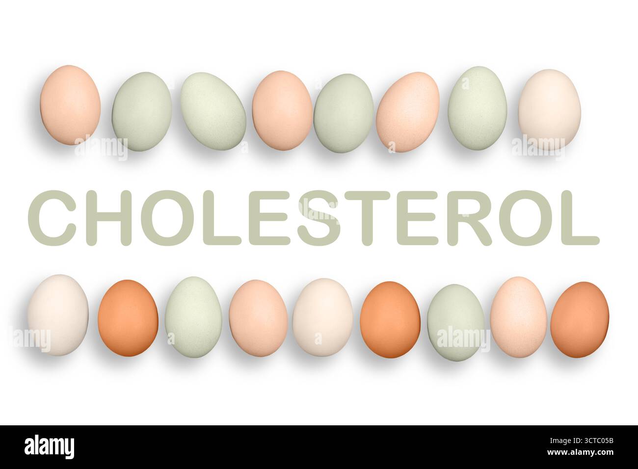Oeufs de poule sur fond blanc avec le mot CHOLESTÉROL. Les œufs sont l’un des aliments les plus nutritifs et polyvalents au monde. Banque D'Images