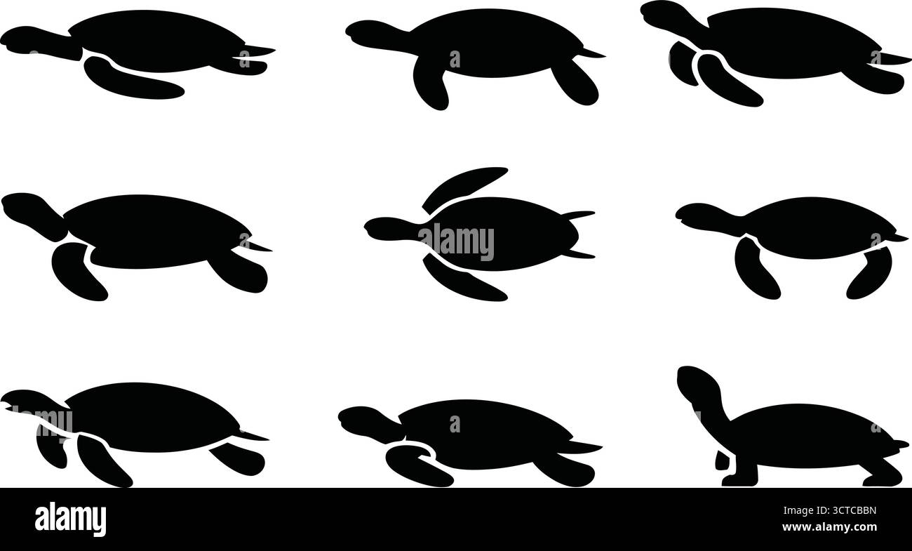 Ensemble icône silhouette de tortue avec neuf poses et formes de coquillage uniques pour la faune, la nature et les thèmes éducatifs Illustration de Vecteur