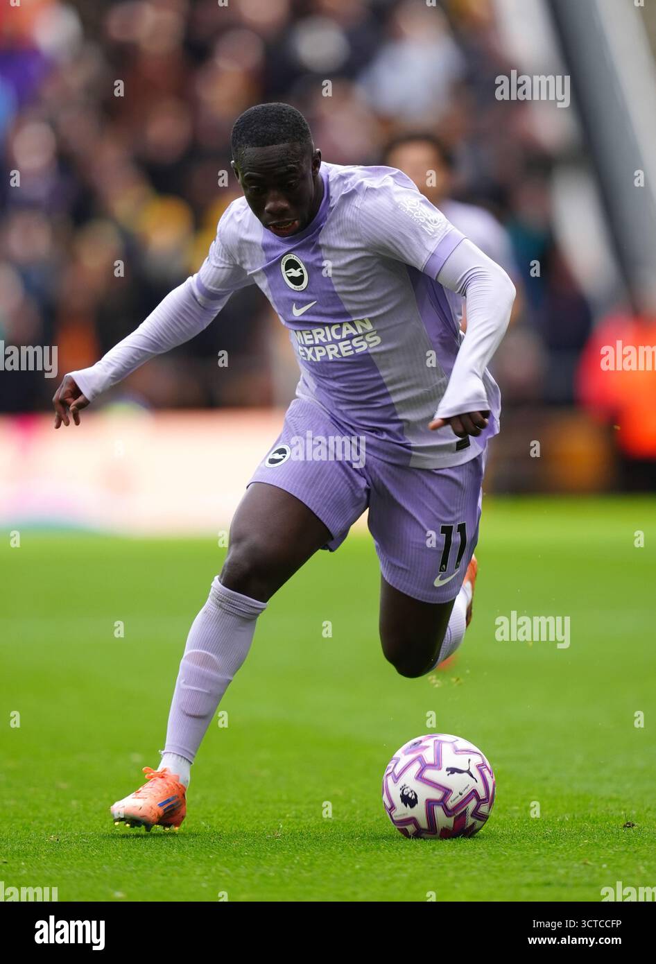 Brighton et Hove Albion Yankuba Minteh lors du premier League match au Molineux Stadium, Wolverhampton. Date de la photo : dimanche 5 octobre 2025. Banque D'Images
