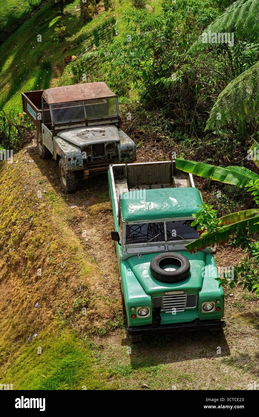 Vieux camions abandonnés près de la jungle. Banque D'Images