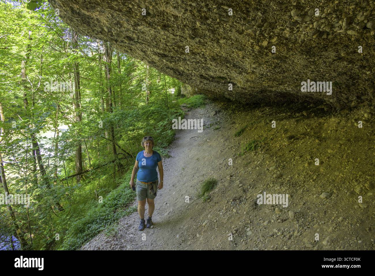Konglomeratfelsen und Wanderweg im Naturschutzgebiet Steyr Fluss, Molln, Oberoesterreich, Oesterreich Banque D'Images