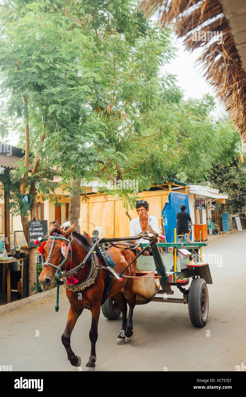Charrette à cheval avec un homme local dans la rue du village à Gili Air Indonesia Banque D'Images