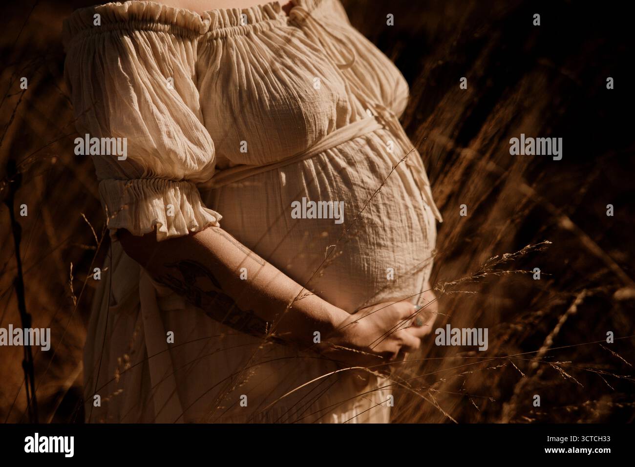 Femme enceinte tenant le ventre dans une grande herbe dorée. Banque D'Images