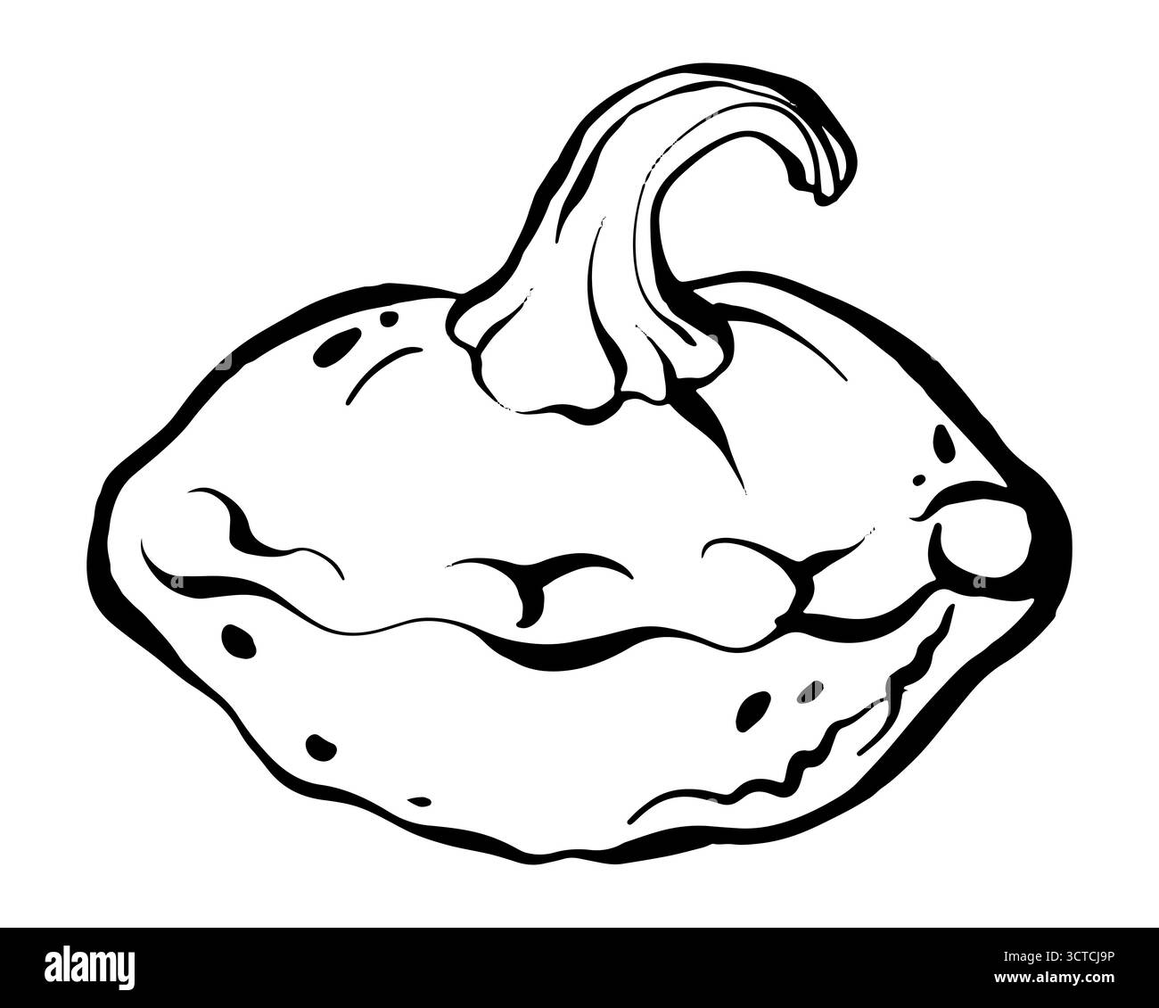 Illustration vectorielle de citrouille Illustration de Vecteur