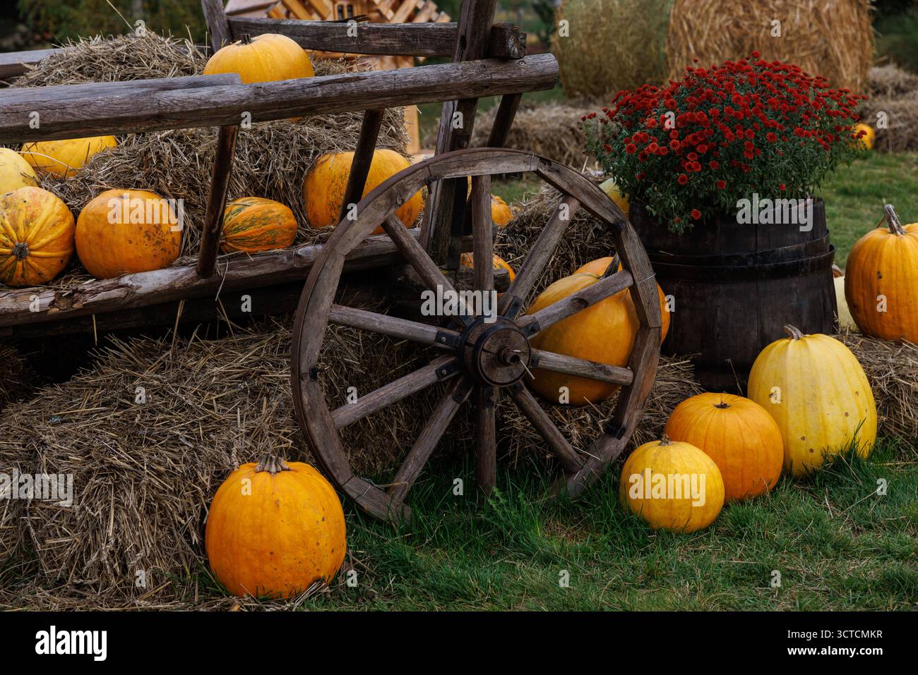 Cette scène d'automne pittoresque présente des citrouilles vibrantes dans différentes nuances disposées près d'une brouette en bois remplie de foin et d'une charmante fleur po Banque D'Images