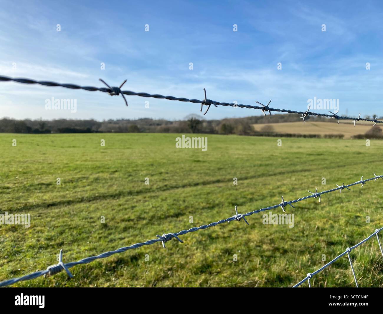 Une photo de champs verts ouverts à Caistor St Edmund Roman Town dans le Norfolk, avec du fil de fer barbelé dans le plan. - Image de stock capturée avec un smartphone