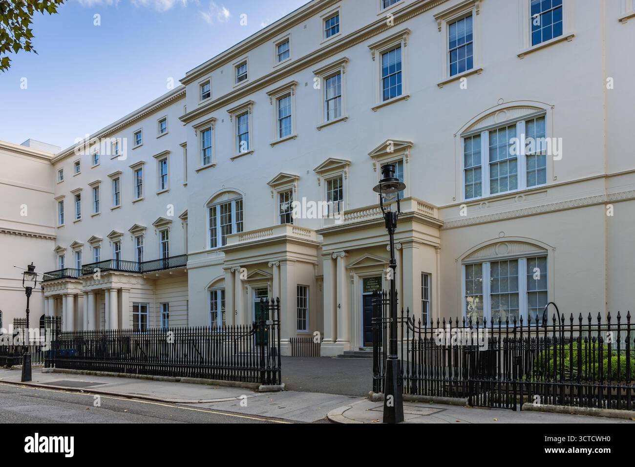 Royal Society Building, Royal Academy of Engineering. Maisons classées sur Carlton House Terrace, Londres. Banque D'Images