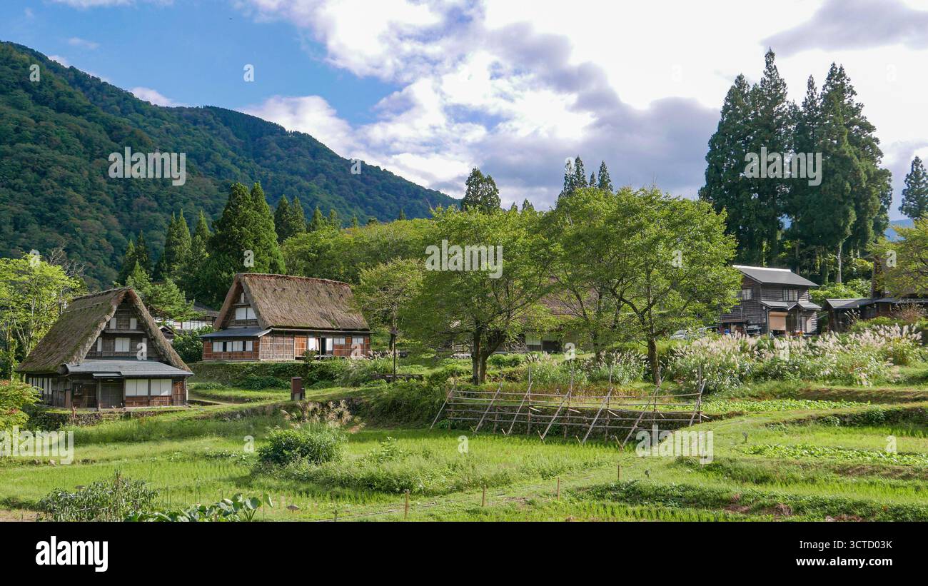 Japon, Alpes japonaises, île principale de Honshu, préfecture de Toyama. Vieux village traditionnel inscrit en 1995 sur la liste du patrimoine mondial de l'UNESCO en raison de Banque D'Images
