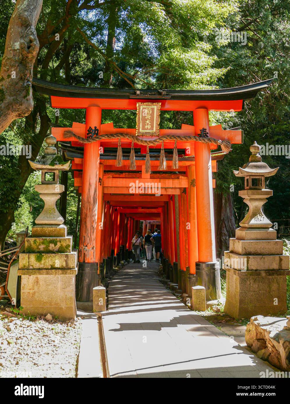 Japon, Kyoto : groupe de touristes passant sous le tunnel vermillon torii à Fushimi Inari Taisha, le sanctuaire shinto avec 10 000 portes torii. Intégré Banque D'Images