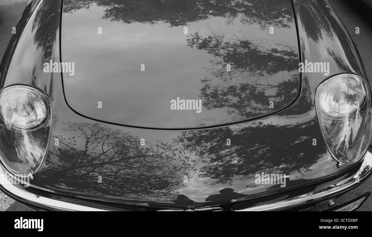 Réflexions d'un moment — mystère à travers le capot. Teintes monochromes. Banque D'Images