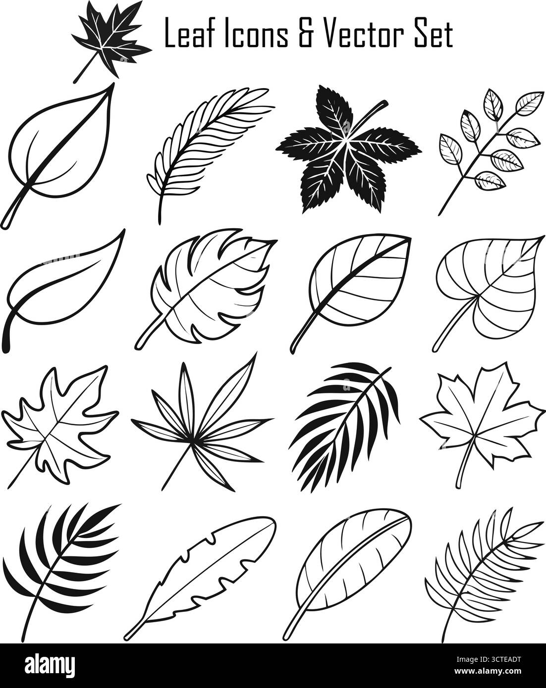 Ensemble d'icônes de feuilles, Collection de symboles de feuillage vert, nature, écologie et illustration vectorielle botanique Illustration de Vecteur Ensemble d'icônes de feuilles, Collection de symboles de feuillage vert, nature, écologie et illustration vectorielle botanique Illustration de Vecteur