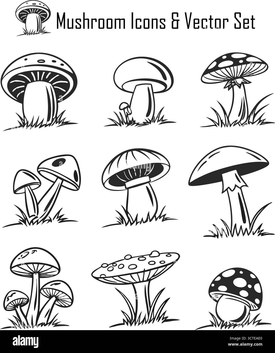 Ensemble d'icônes de champignons, collection de symboles de champignons et de plantes forestières, illustration vectorielle nature, comestible et sauvage Illustration de Vecteur
