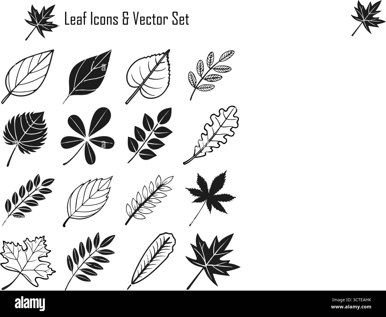 Ensemble d'icônes de feuilles, Collection de symboles de feuillage vert, nature, écologie et illustration vectorielle botanique Illustration de Vecteur Ensemble d'icônes de feuilles, Collection de symboles de feuillage vert, nature, écologie et illustration vectorielle botanique Illustration de Vecteur