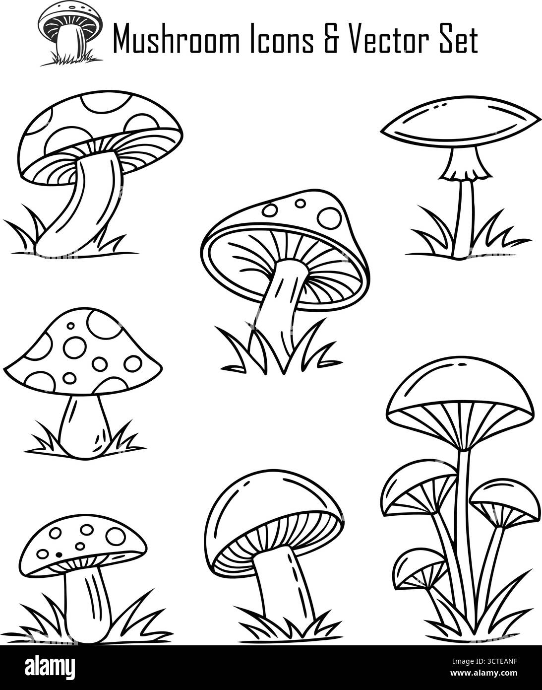 Ensemble d'icônes de champignons, collection de symboles de champignons et de plantes forestières, illustration vectorielle nature, comestible et sauvage Illustration de Vecteur