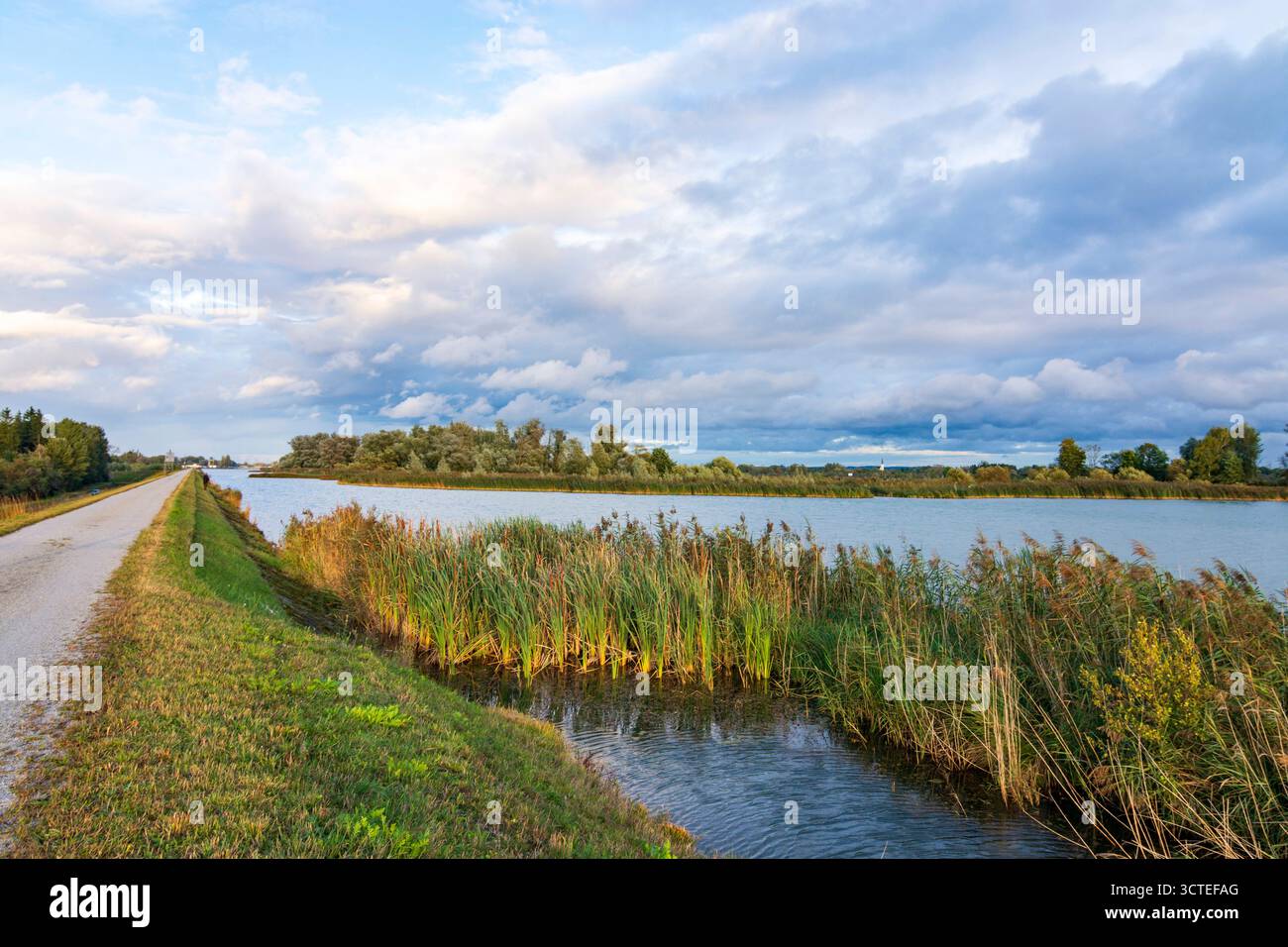 river Inn, nature et sanctuaire d'oiseaux Unterer Inn Lower Inn Valley Eering Niederbayern, basse Bavière Bayern, Bavière Allemagne Banque D'Images