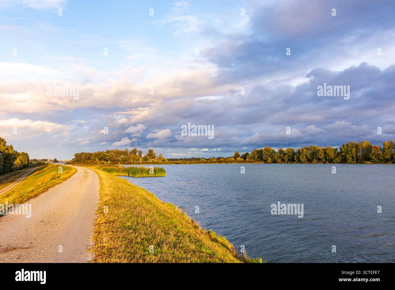 Ring : river Inn, réserve naturelle et ornithologique Unterer Inn (basse vallée de l'Inn) à Niederbayern, basse-Bavière, Bayern, Bavière, Allemagne Banque D'Images