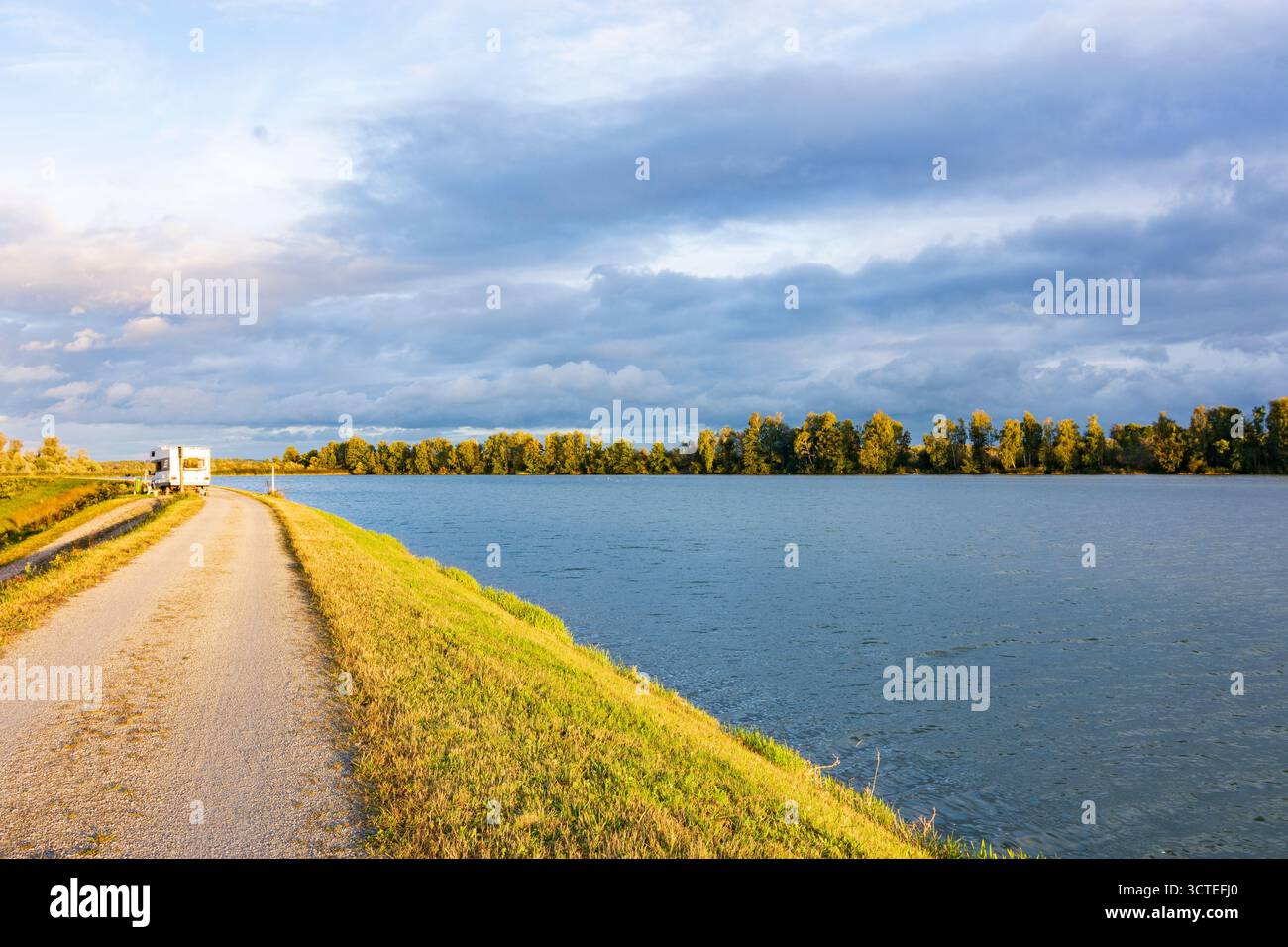 Ring : river Inn, réserve naturelle et ornithologique Unterer Inn (basse vallée de l'Inn) à Niederbayern, basse-Bavière, Bayern, Bavière, Allemagne Banque D'Images