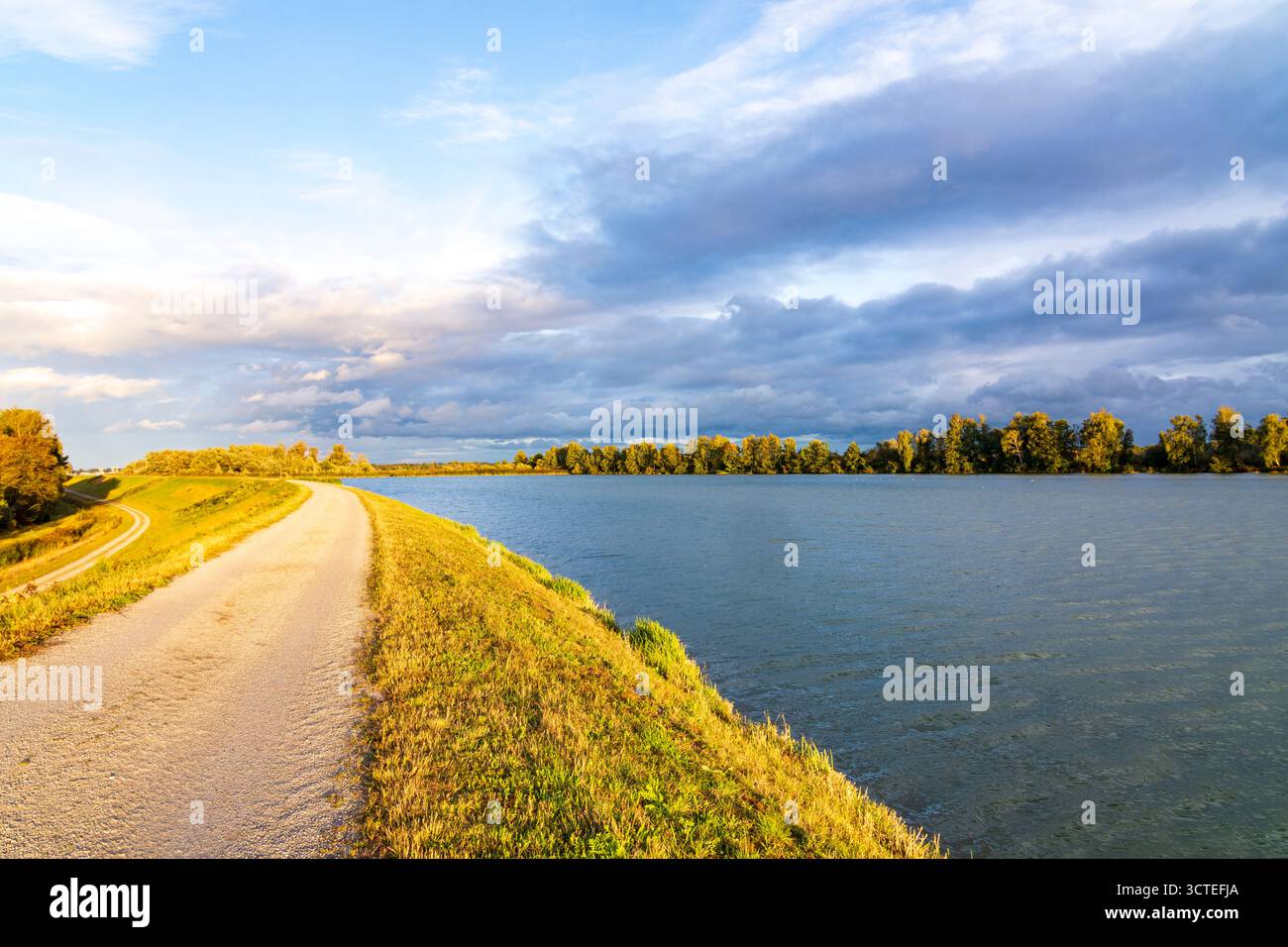Ring : river Inn, réserve naturelle et ornithologique Unterer Inn (basse vallée de l'Inn) à Niederbayern, basse-Bavière, Bayern, Bavière, Allemagne Banque D'Images