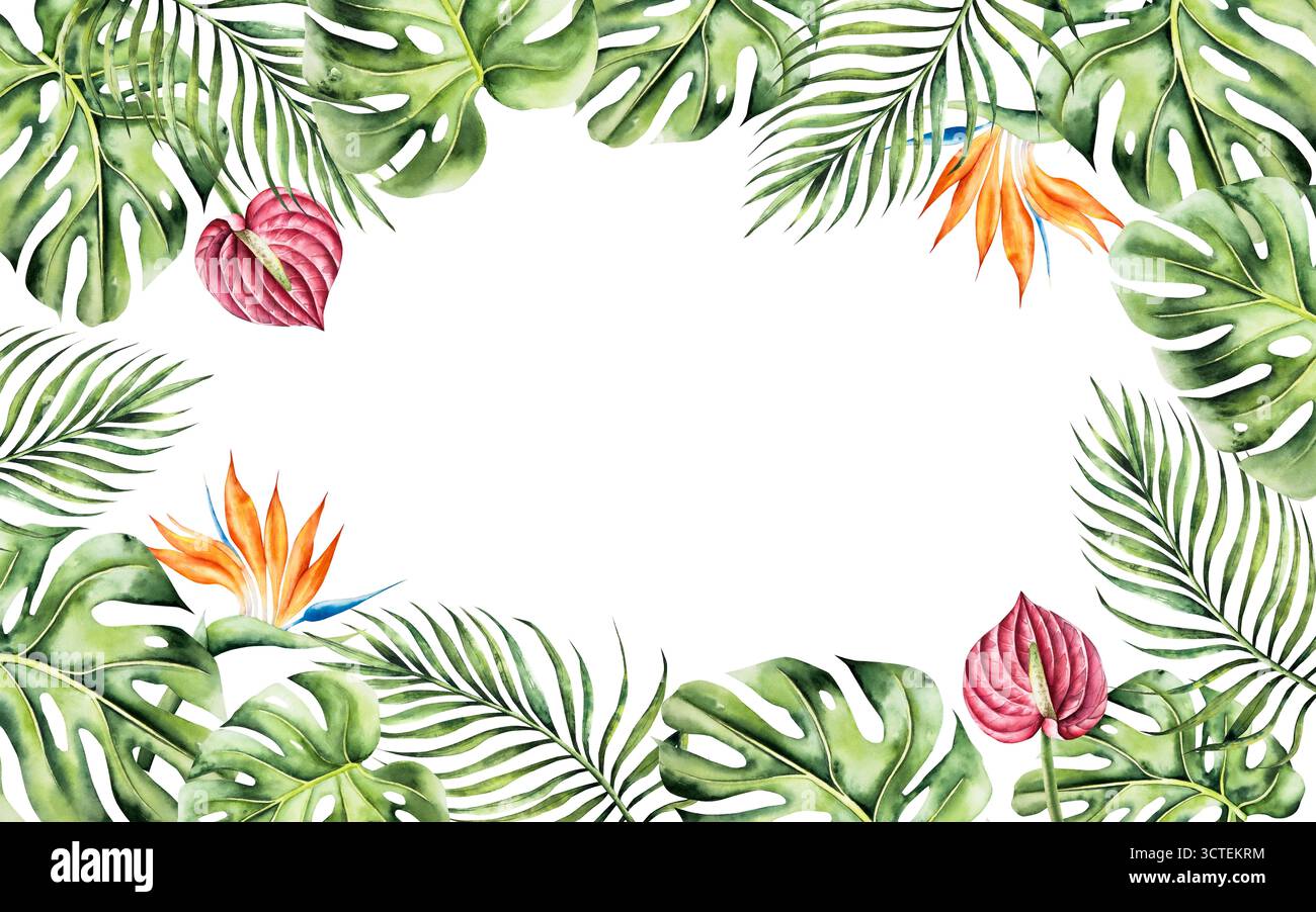 Cadre de feuille Monstera, Strelitzia et modèle de fleurs d'anthurium rouge. Aquarelle dessinée à la main palmier areca, tons verts vibrants. Botanique isolée Banque D'Images
