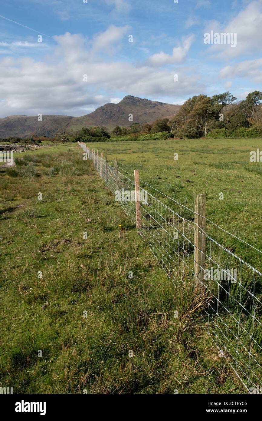 Ben Buie, Île de Mull, Écosse Banque D'Images