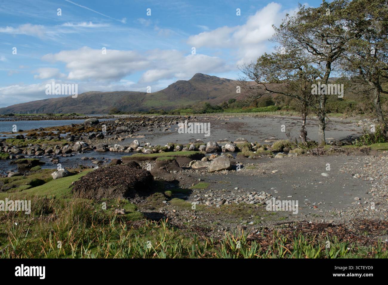 La rive du Loch Buie, île de Mull, Écosse Banque D'Images