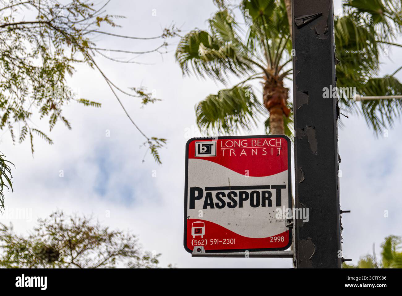 Long Beach, CA - 12 mars 2025 : le passeport de transit de long Beach est un service d'autobus circulateur gratuit qui relie l'attraction populaire du centre-ville de long Beach Banque D'Images