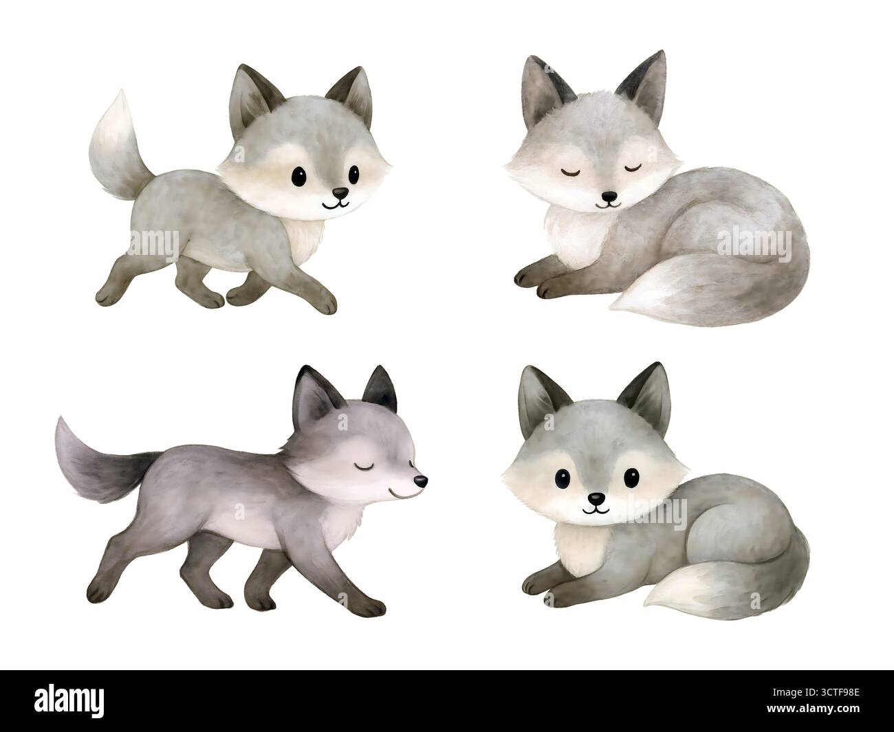 Aquarelle Fox Clipart Set – Cute Woodland Foxes en orange et gris, assis, dormir et hurler – illustrations animales pour les tirages de pépinière, autocollants Banque D'Images