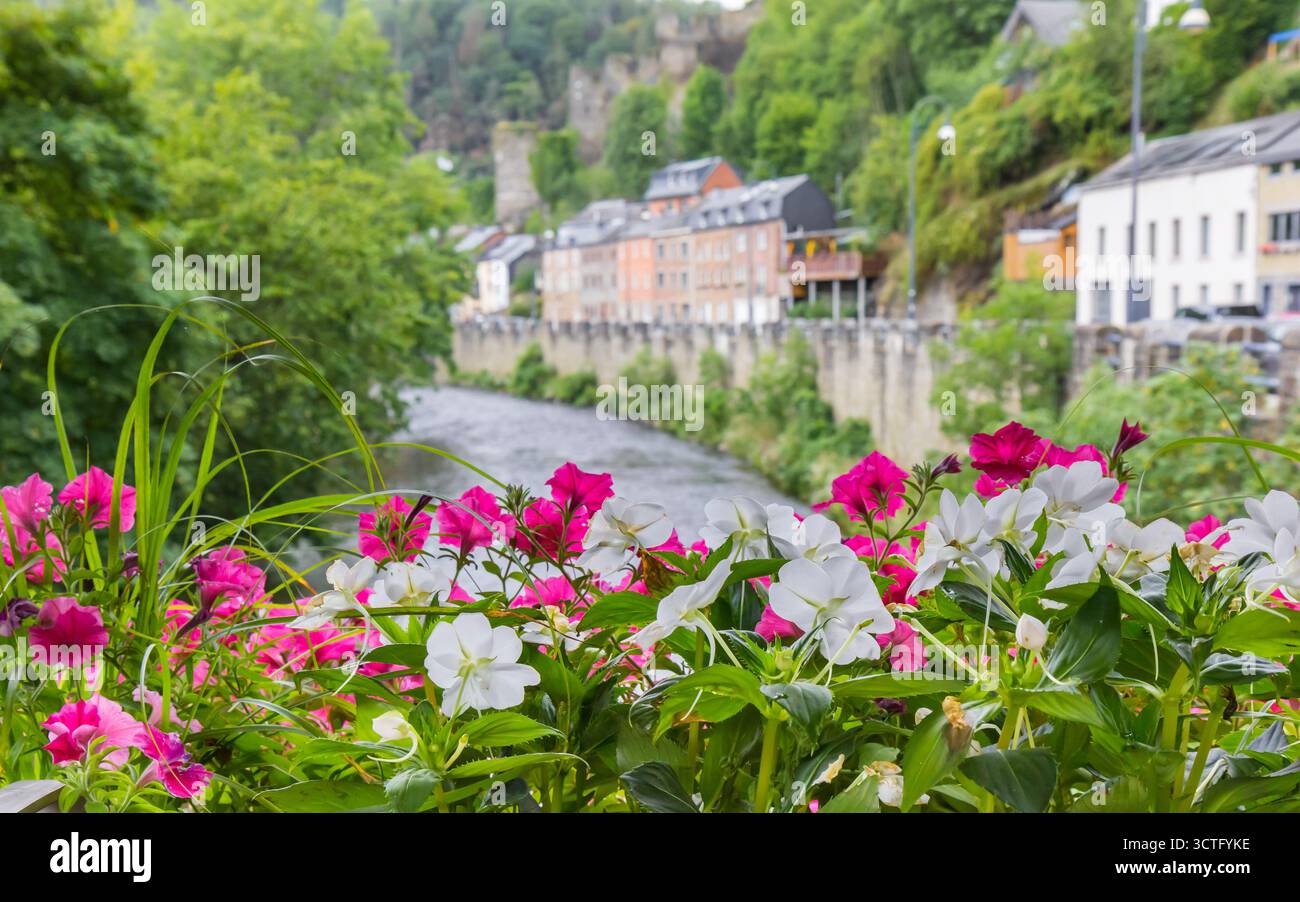 Fleurs colorées sur le pont sur la rivière Ourthe à la Roche-en-Ardenne, Belgique Banque D'Images