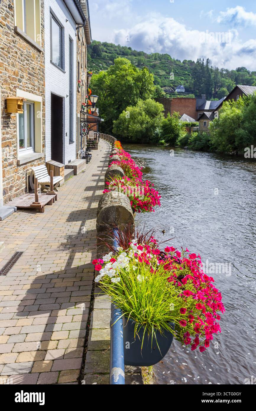 Fleurs roses et blanches sur la promenade de la Roche-en-Ardenne, Belgique Banque D'Images