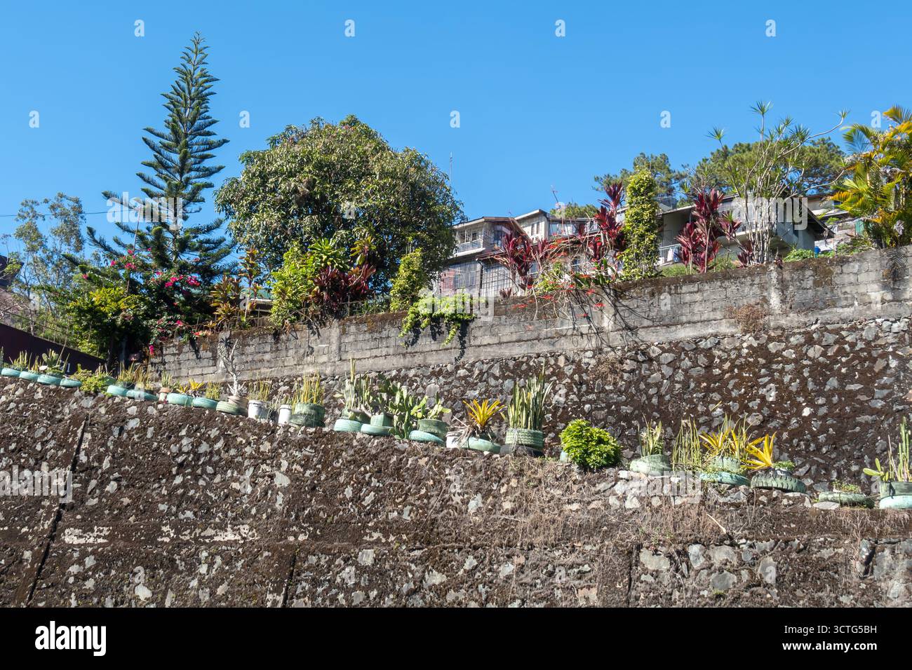 Quartier résidentiel avec un mur mitoyen et des maisons sur une colline, plantes en pots, Baguio, Philippines Banque D'Images