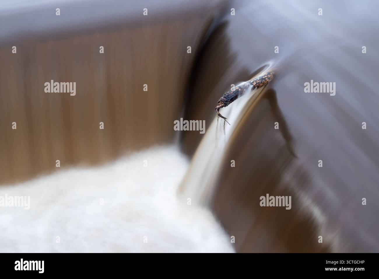 Branche capturée sur l'eau qui coule au-dessus du déversoir Banque D'Images