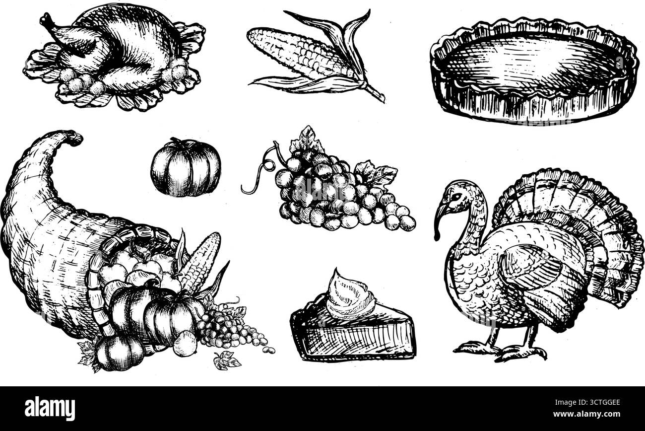 Ensemble d'illustration de dîner de Thanksgiving. Dinde, tarte à la citrouille, pommes, maïs, raisin et décor d'automne. Croquis de nourriture de vacances de vecteur pour les cartes, le menu et le paquet Illustration de Vecteur