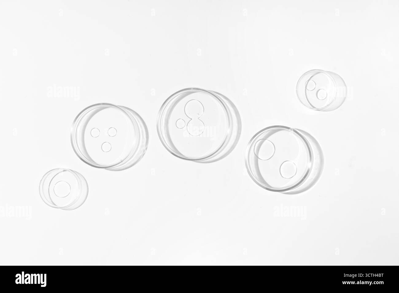 Boîtes de Petri avec liquide transparent sur fond blanc Banque D'Images