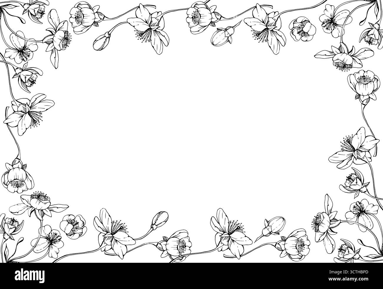 Fleur blanche de sakura de cerise et bourgeon sur les tiges, encre vectorielle dessinée à la main, fleur de pomme début de printemps illustration botanique de fleur sauvage. Horizontale isolée Illustration de Vecteur