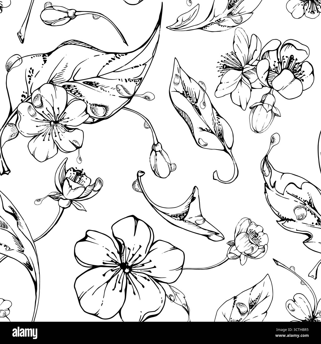 Fleur blanche de pomme de sakura cerise et bourgeon avec des feuilles de plante sur les branches, encre vectorielle dessinée à la main, illustration botanique de fleur sauvage. Isolation transparente Illustration de Vecteur