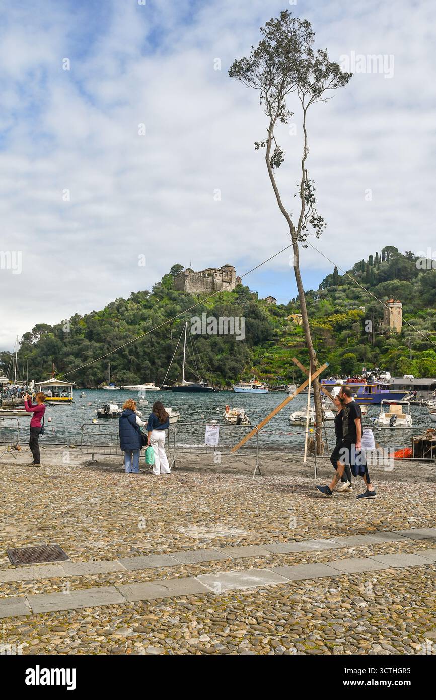 Piazza Martiri della Libertà avec le grand tronc d'arbre qui sera brûlé lors de la traditionnelle réunion George Bonfire le 23 avril, Portofino, Italie Banque D'Images