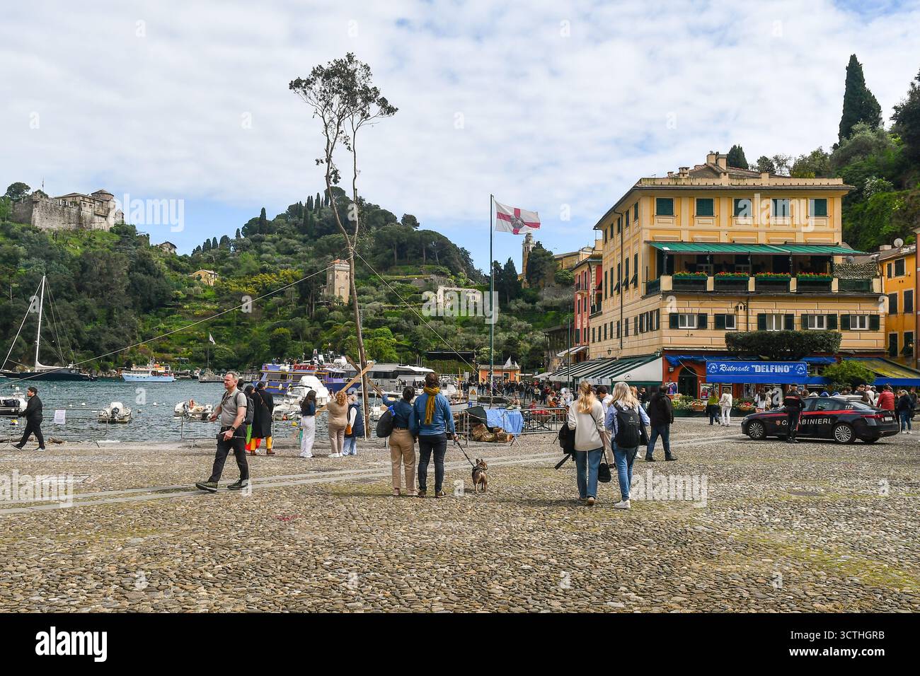 Piazza Martiri della Libertà avec le grand tronc d'arbre qui sera brûlé lors de la traditionnelle réunion George Bonfire le 23 avril, Portofino, Italie Banque D'Images