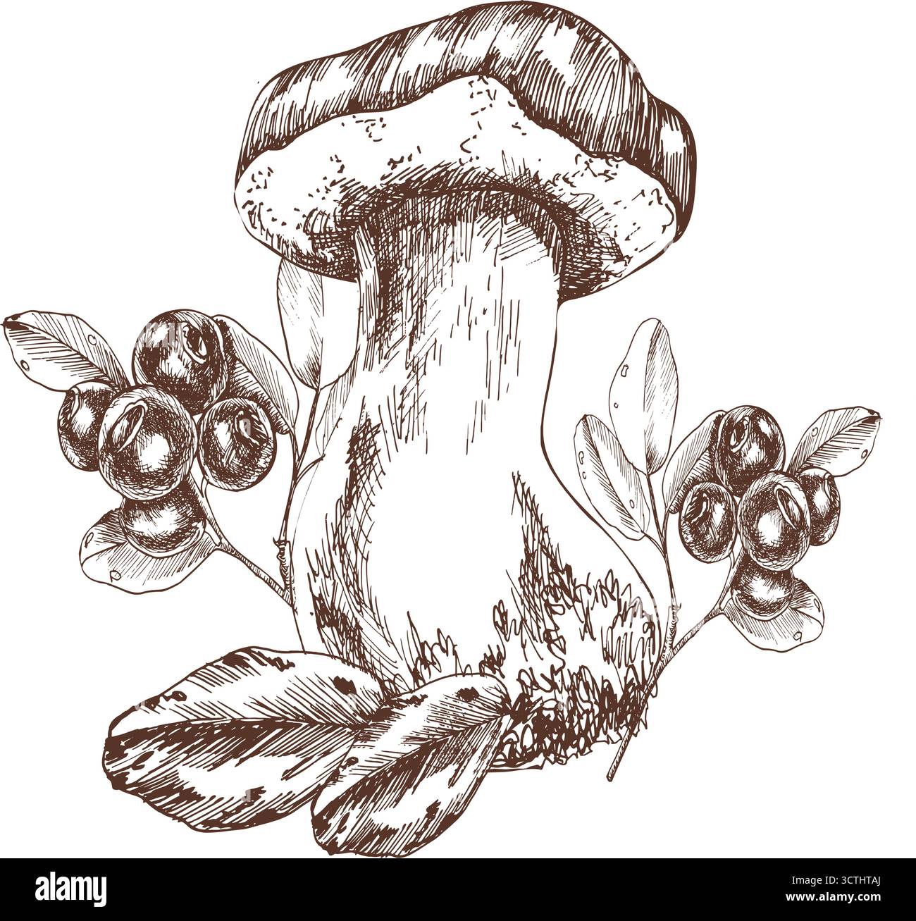 Champignon comestible d'automne forestier avec des graphiques vectoriels d'encre de feuilles et de bleuets. Clipart saisonnier gravé dessiné à la main, nourriture végétalienne de champignons sauvages dans les contours Illustration de Vecteur