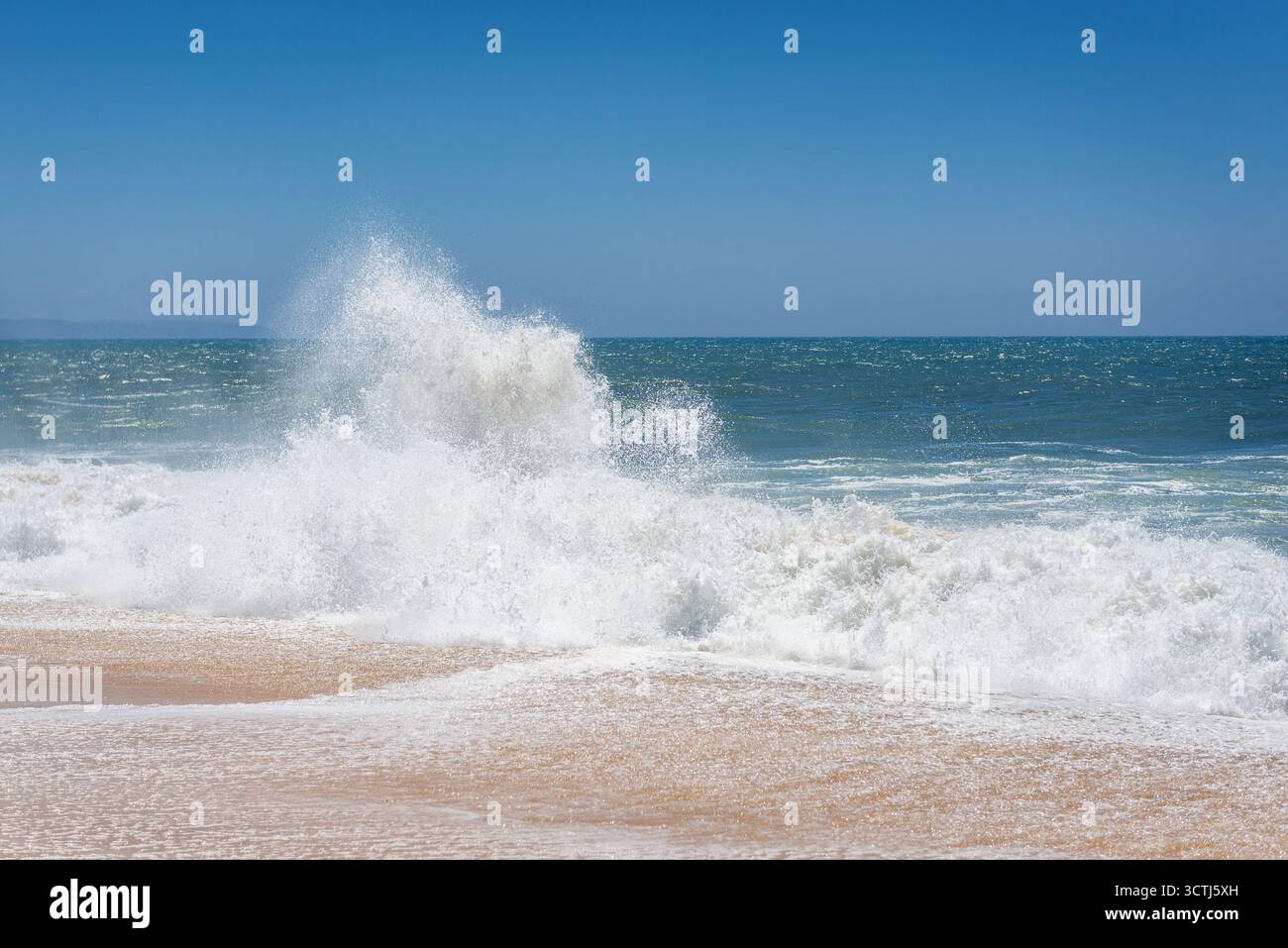Vagues vues de North Beach célèbre pour les vagues géantes dans la ville de Nazare sur la soi-disant Côte d'argent, région d'Oeste au Portugal Banque D'Images