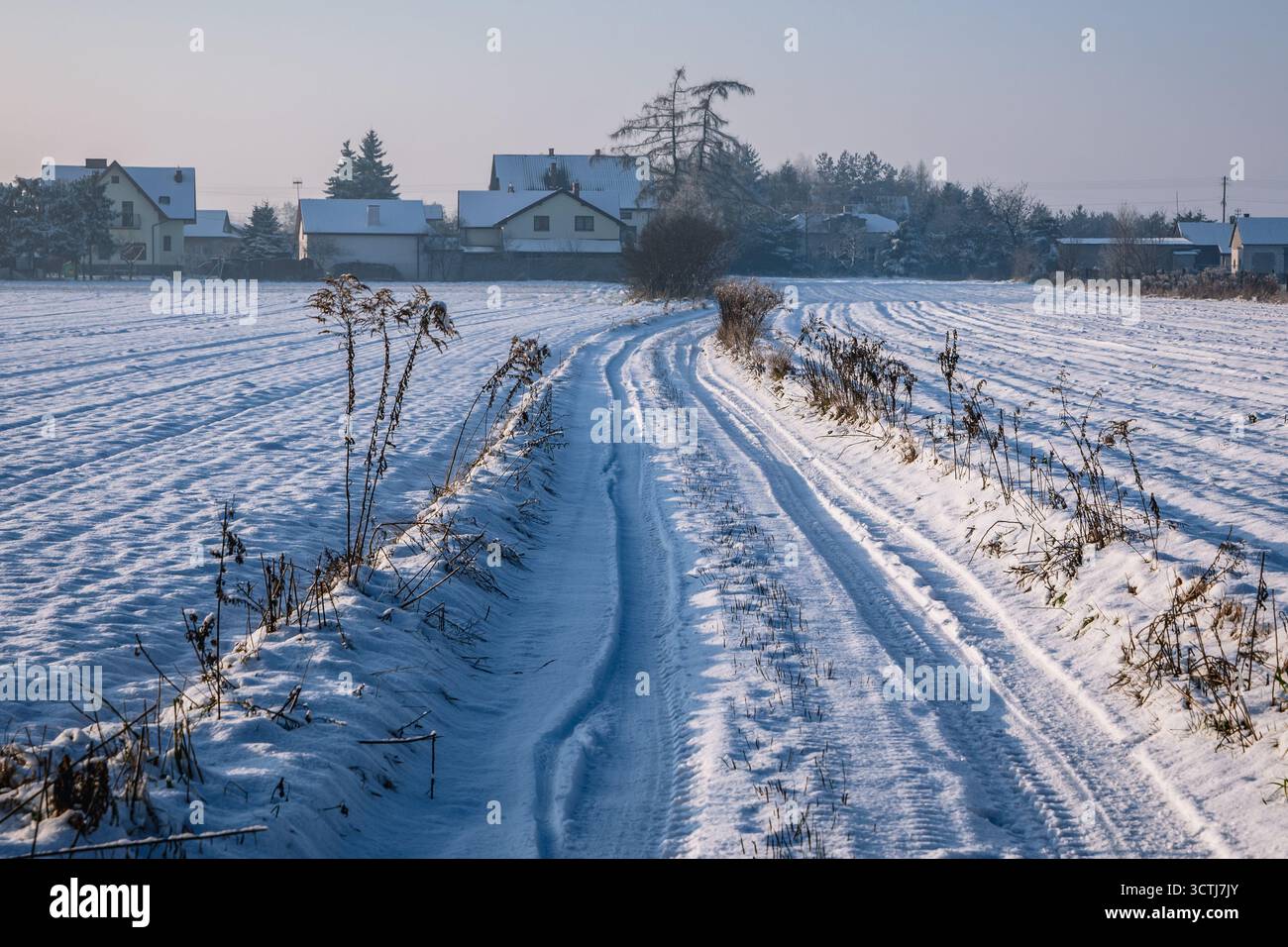 Route rurale pendant l'hiver dans le village de Rogow, province de Lodz en Pologne Banque D'Images